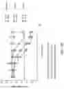 Fig. 94 - Oligonucleotide compositions and methods thereof