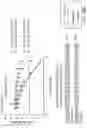 Fig. 95 - Oligonucleotide compositions and methods thereof