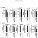Fig. 11 - COMPOSITIONS AND METHODS OF TREATING CANCER