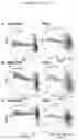 Fig. 12 - COMPOSITIONS AND METHODS OF TREATING CANCER
