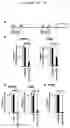 Fig. 13 - COMPOSITIONS AND METHODS OF TREATING CANCER
