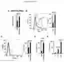 Fig. 16 - COMPOSITIONS AND METHODS OF TREATING CANCER