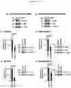 Fig. 25 - COMPOSITIONS AND METHODS OF TREATING CANCER