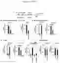 Fig. 26 - COMPOSITIONS AND METHODS OF TREATING CANCER