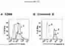 Fig. 29 - COMPOSITIONS AND METHODS OF TREATING CANCER