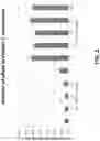 Fig. 03 - COMPOSITIONS AND METHODS FOR INHIBITIION OF EXPRESSION OF PROTEIN C (PROC) GENES