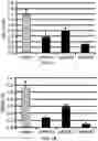 Fig. 02 - LONG NON-CODING RNA USED FOR ANTICANCER THERAPY