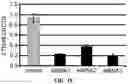Fig. 04 - LONG NON-CODING RNA USED FOR ANTICANCER THERAPY