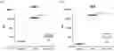 Fig. 01 - Antisense oligonucleic acid