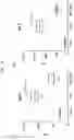 Fig. 14 - Antisense oligonucleic acid