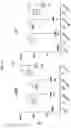 Fig. 15 - Antisense oligonucleic acid