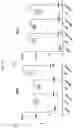 Fig. 17 - Antisense oligonucleic acid