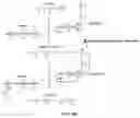 Fig. 05 - Rotationally sequestered translators