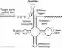 Fig. 01 - Regulation of gene expression by aptamer-modulated RNase p cleavage