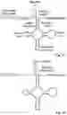 Fig. 02 - Regulation of gene expression by aptamer-modulated RNase p cleavage