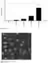 Fig. 06 - Targeted nanocarriers for the administration of immunosuppressive agents