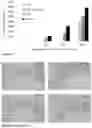 Fig. 14 - Targeted nanocarriers for the administration of immunosuppressive agents