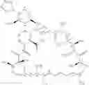 Fig. 16 - Targeted nanocarriers for the administration of immunosuppressive agents