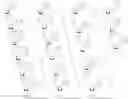 Fig. 04 - COMPOSITIONS AND METHODS FOR MODULATING PKK EXPRESSION