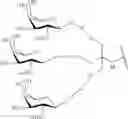 Fig. 112 - COMPOSITIONS AND METHODS FOR MODULATING PKK EXPRESSION