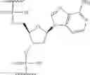 Fig. 191 - COMPOSITIONS AND METHODS FOR MODULATING PKK EXPRESSION