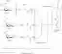 Fig. 31 - COMPOSITIONS AND METHODS FOR MODULATING PKK EXPRESSION