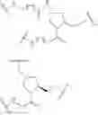 Fig. 34 - COMPOSITIONS AND METHODS FOR MODULATING PKK EXPRESSION