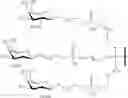 Fig. 94 - COMPOSITIONS AND METHODS FOR MODULATING PKK EXPRESSION