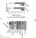 Fig. 04 - COMPOSITIONS COMPRISING SASP MODULATORS AND SENESCENCE ATTENUATORS AND USES THEREOF FOR MODULATING CELLULAR SENESCENCE