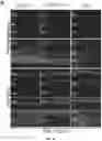 Fig. 28 - COMPOSITIONS COMPRISING SASP MODULATORS AND SENESCENCE ATTENUATORS AND USES THEREOF FOR MODULATING CELLULAR SENESCENCE