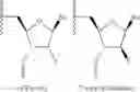 Fig. 02 - SELECTIVE ANTISENSE COMPOUNDS AND USES THEREOF