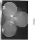Fig. 09 - Methods for producing carbo sugars and applications thereof