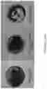Fig. 19 - Methods for producing carbo sugars and applications thereof