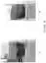 Fig. 23 - Methods for producing carbo sugars and applications thereof