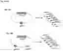 Fig. 24 - Applications of CRISPRi in high throughput metabolic engineering