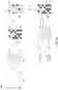 Fig. 04 - DETECTION OF NUCLEASE EDITED SEQUENCES IN AUTOMATED MODULES AND INSTRUMENTS VIA BULK CELL CULTURE