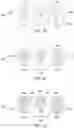 Fig. 11 - DETECTION OF NUCLEASE EDITED SEQUENCES IN AUTOMATED MODULES AND INSTRUMENTS VIA BULK CELL CULTURE