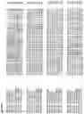 Fig. 14 - Nucleotide sequences and corresponding polypeptides conferring modulated growth rate and biomass in plants grown in saline conditions