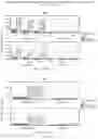 Fig. 30 - ANIMAL MODELS AND THERAPEUTIC MOLECULES