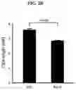 Fig. 03 - Minigene therapy