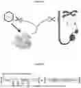 Fig. 02 - Systems and methods for one-shot guide RNA (ogRNA) targeting of endogenous and source DNA