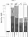 Fig. 13 - Systems and methods for one-shot guide RNA (ogRNA) targeting of endogenous and source DNA