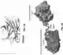 Fig. 02 - Engineered carbohydrate-active enzymes for glycan polymers synthesis