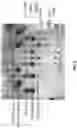 Fig. 07 - Engineered carbohydrate-active enzymes for glycan polymers synthesis
