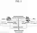 Fig. 02 - System and method for the production, formulation and use of conditioned media, cultured cells and the factors included therein