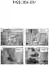 Fig. 11 - System and method for the production, formulation and use of conditioned media, cultured cells and the factors included therein