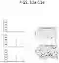 Fig. 12 - System and method for the production, formulation and use of conditioned media, cultured cells and the factors included therein