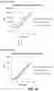 Fig. 19 - Flash and Glow 1,2-Dioxetanes