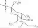 Fig. 53 - Flash and Glow 1,2-Dioxetanes