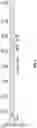 Fig. 09 - Shrimp disease detection assays and uses thereof